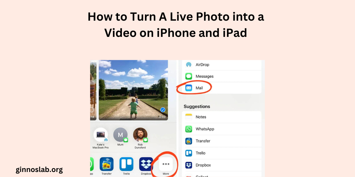 How to Turn A Live Photo into a Video on iPhone and iPad