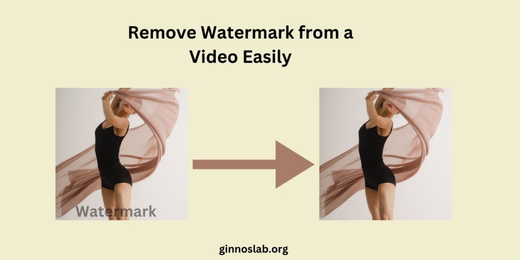 Remove Watermark from a Video Easily